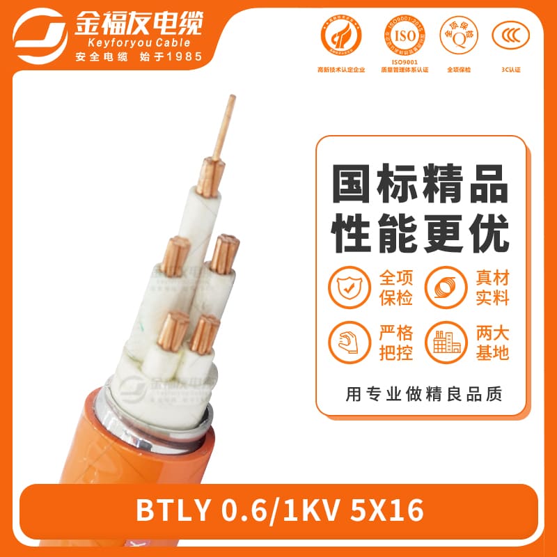 壹号娱乐产品-6.19-BTLY-0.6-1kV-5X16