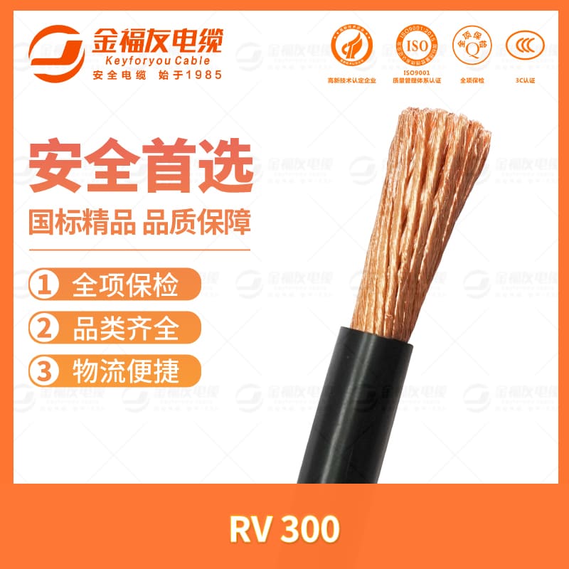 壹号娱乐产品-7.11-RV-300