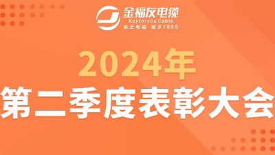 壹号娱乐电缆2024年第二季度表彰大会
